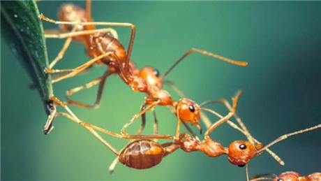 Group Banner Picture